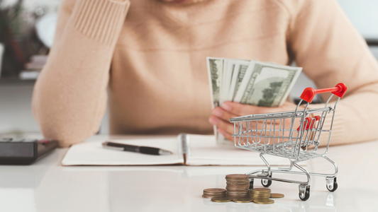 E-commerce y el Aumento del Dólar: Impactos y Estrategias para las Empresas Mexicanas